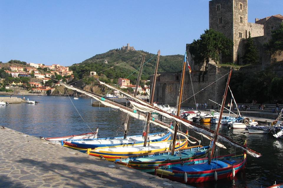Petit port de Collioure