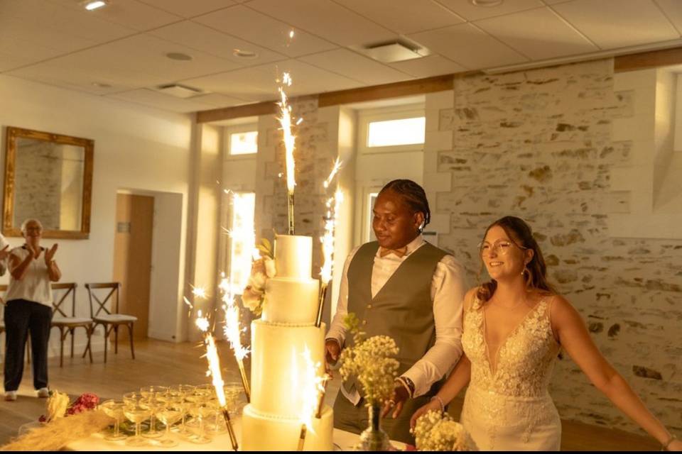 Wedding Cake marbré sauge