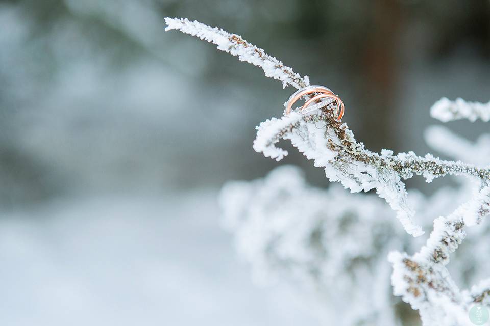 Sous la neige