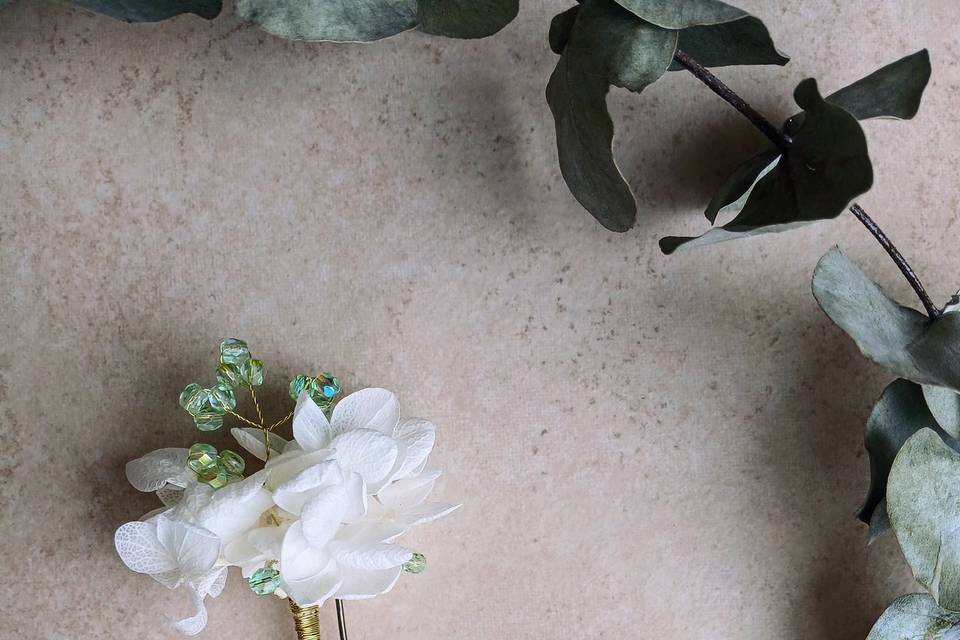 Pinces en fleurs séchées