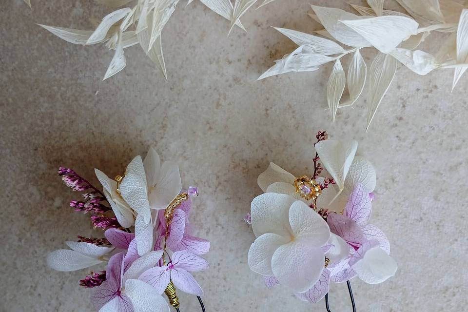 Pinces en fleurs séchées