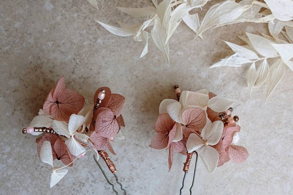 Pinces en fleurs séchées