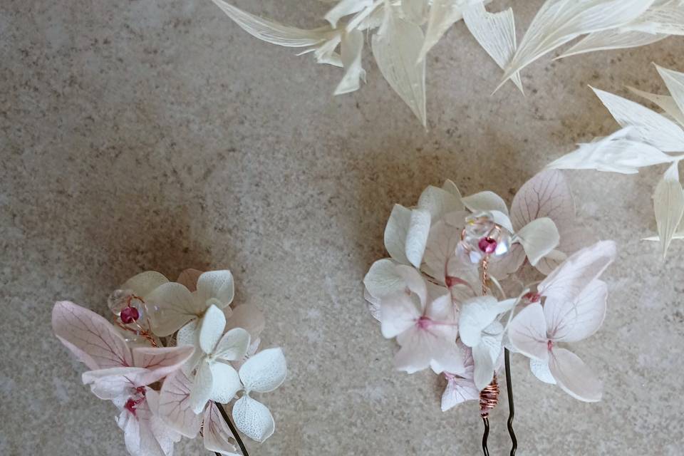 Pinces en fleurs séchées