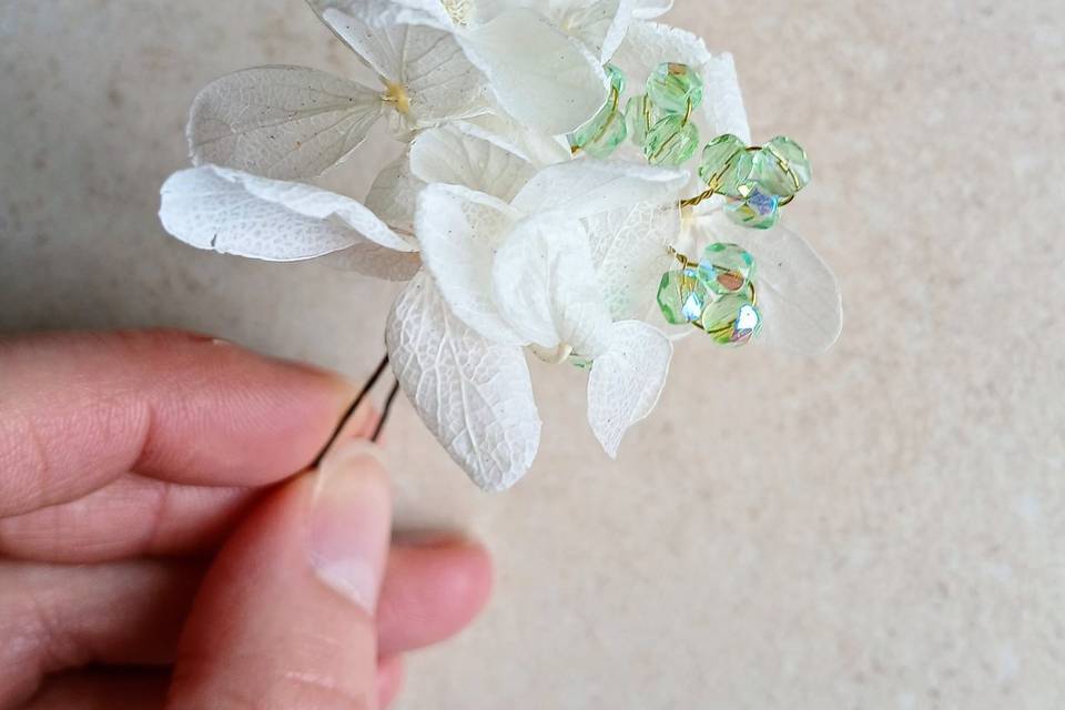 Pince en fleurs séchées