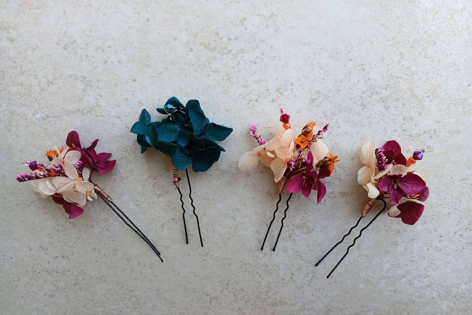 Pinces en fleurs séchées