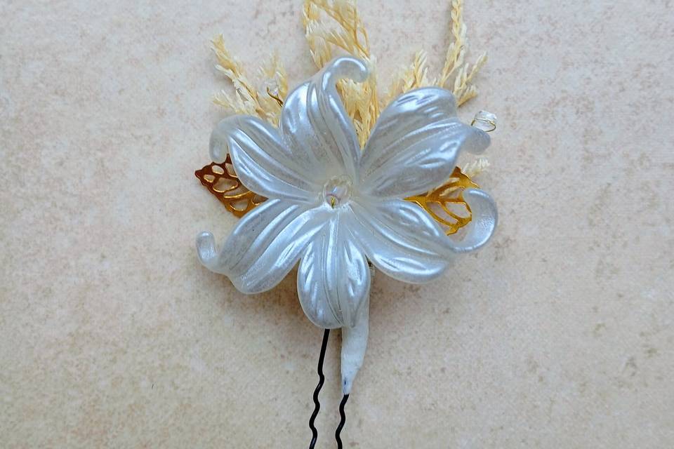 Pince en fleurs séchées