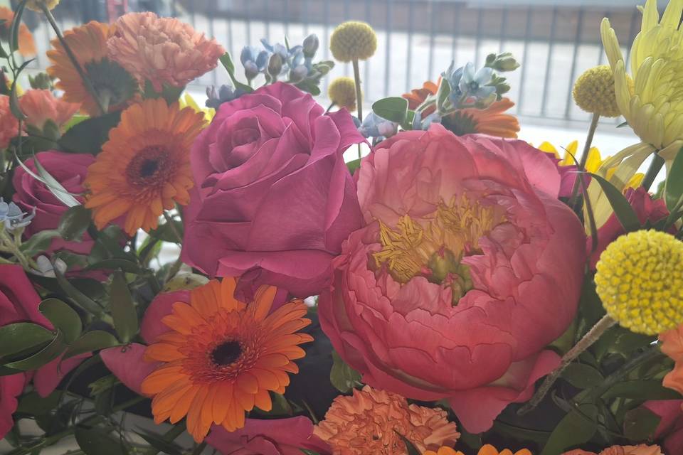 Mariage Coloré