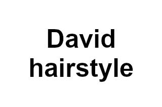 David hairstyle