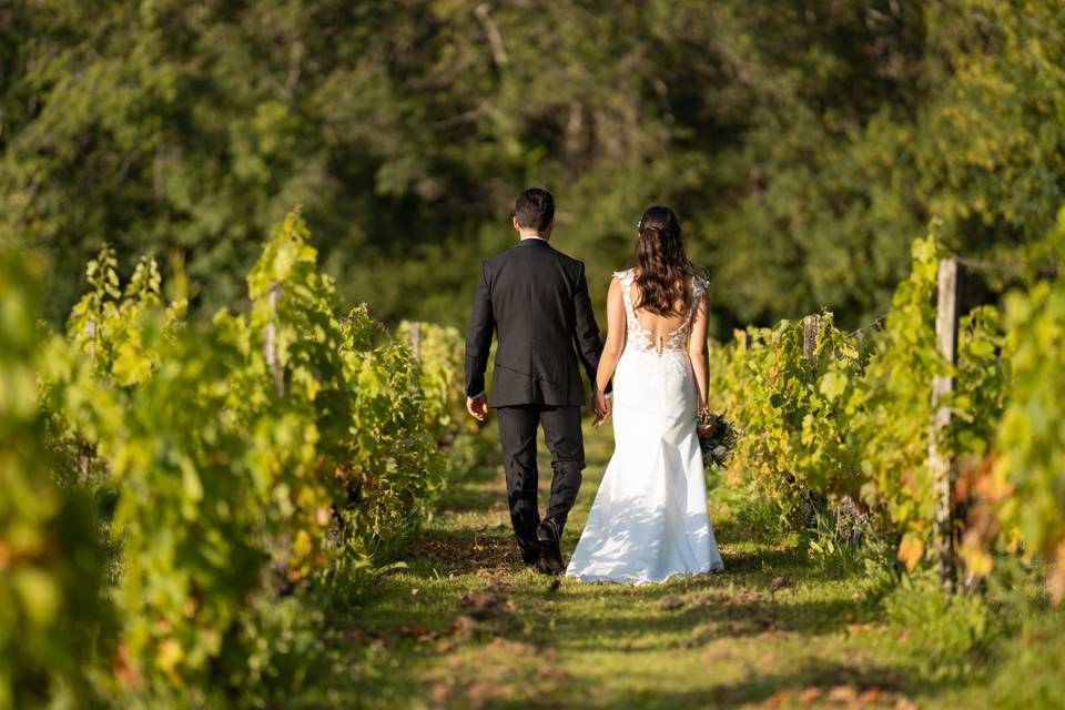 Vignes du parc