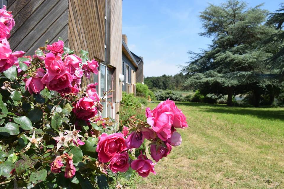 Jardin Les Pierres Bleues