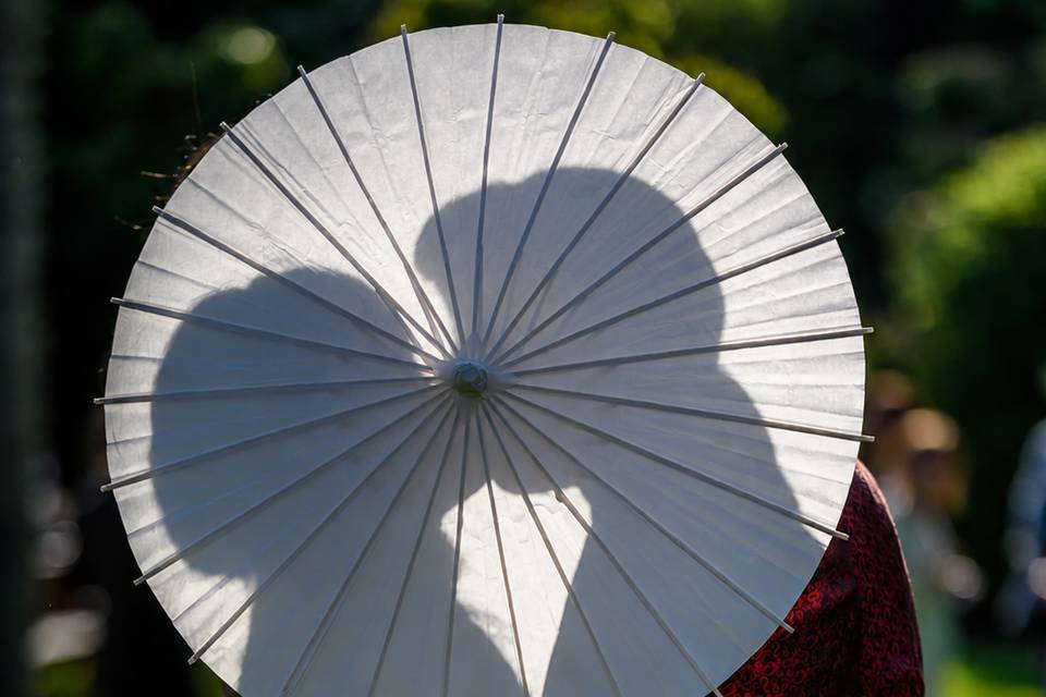 Ombre chinpise