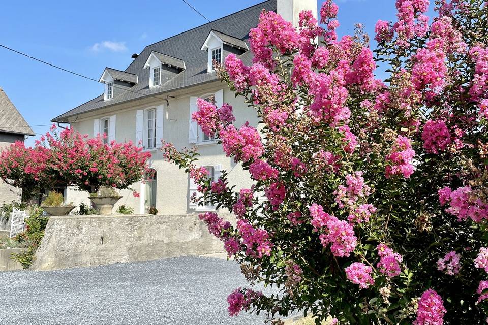 Vue façade maison de maître