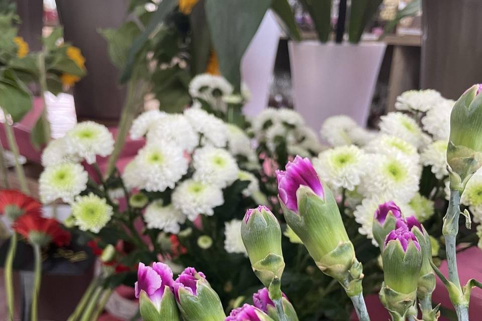 Fleurs