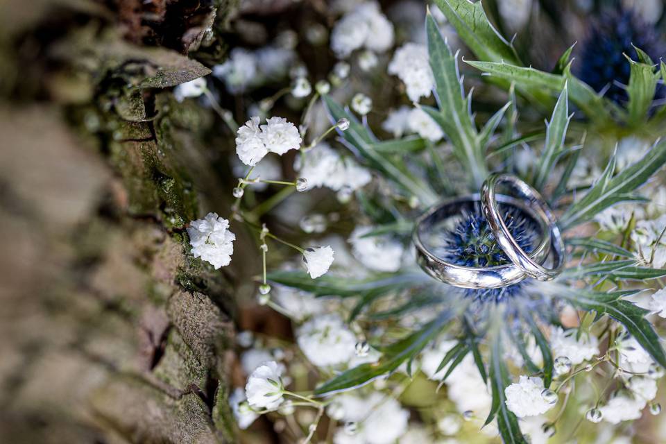 Mariage Aix les Bains