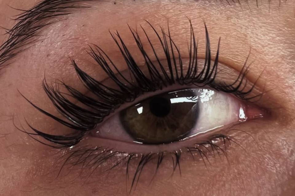 Lash Botox + Soin