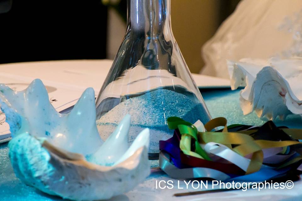 ICS Lyon