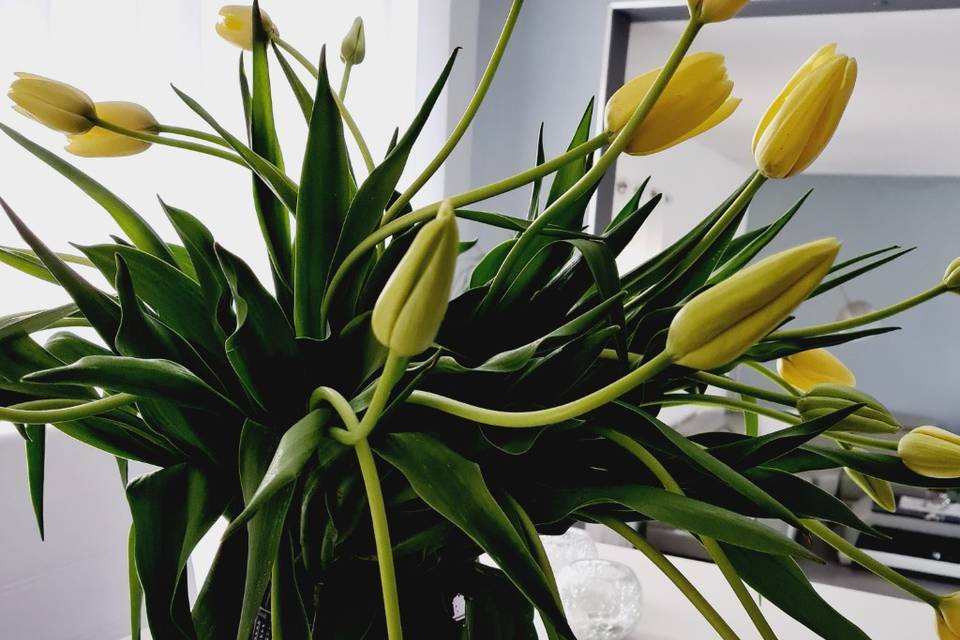 Fleurir son intérieur