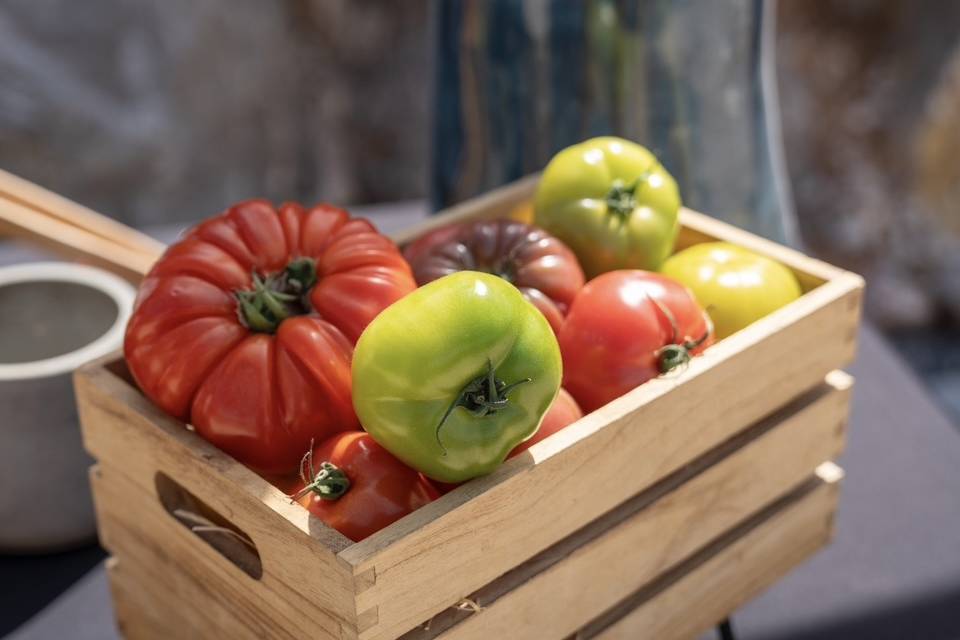 Atelier tomate mozzarella