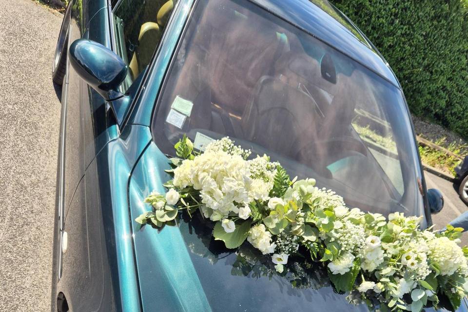 Voiture F.Naturelles