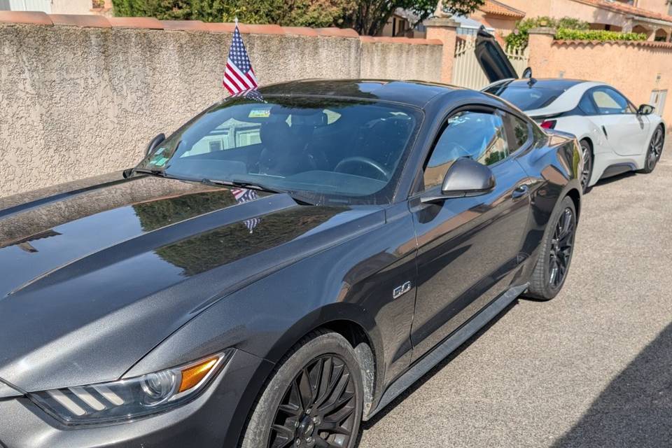 Mustang avant