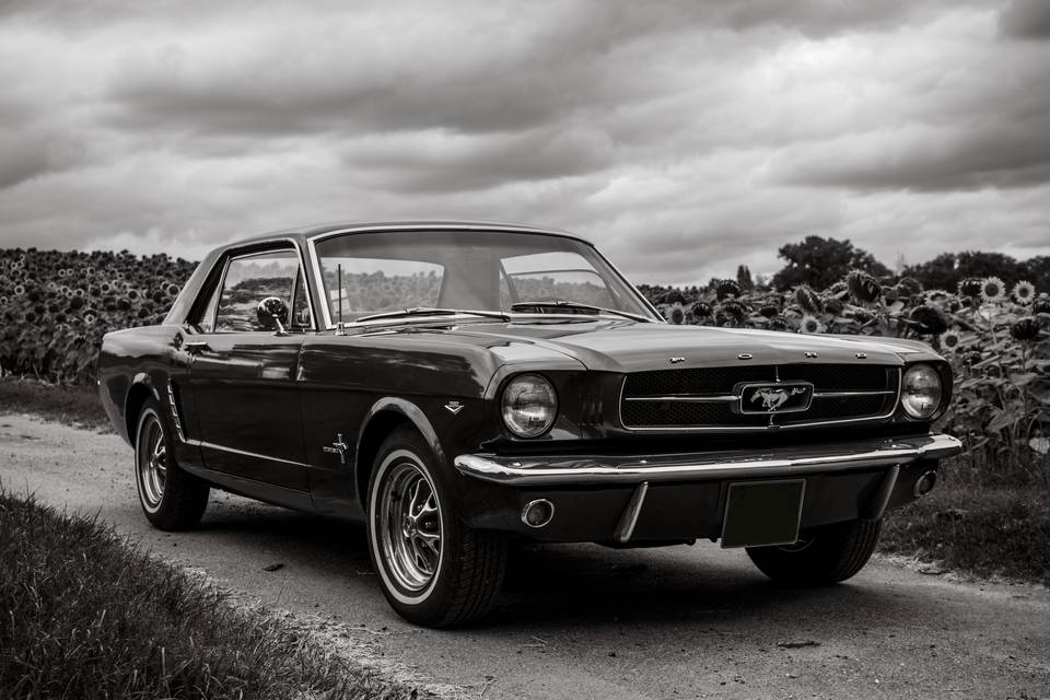 Mustang 1965 Gers