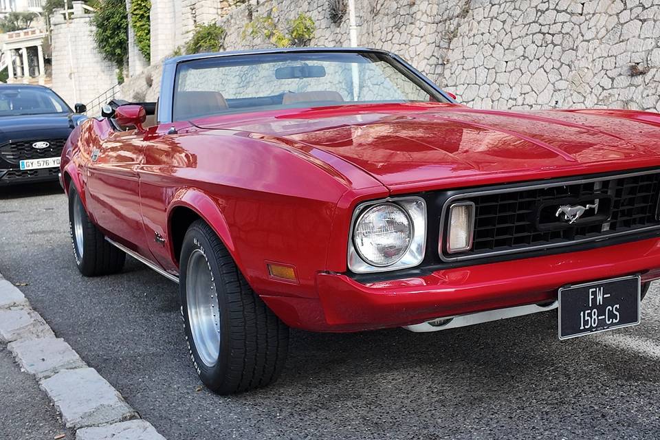Mustang