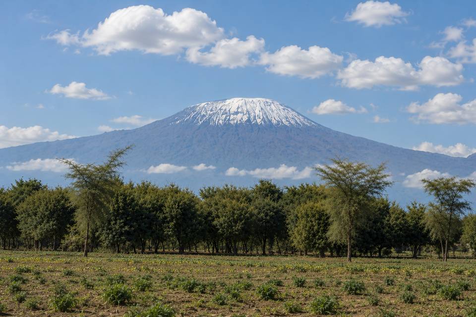 Kilimanjaro