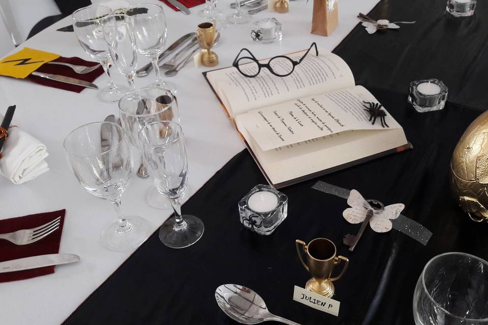 Mariage Harry Potter