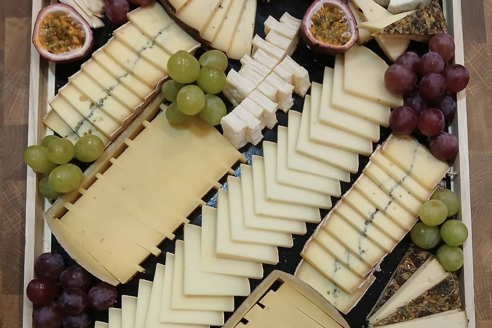 Plateau prédécoupé rectangle