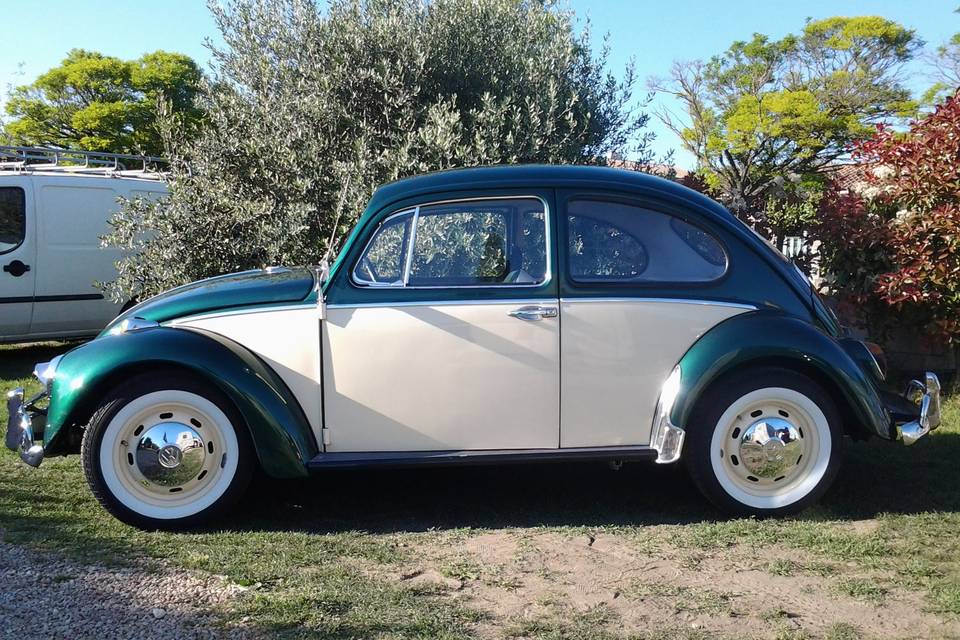 Coccinelle bi-ton 1970