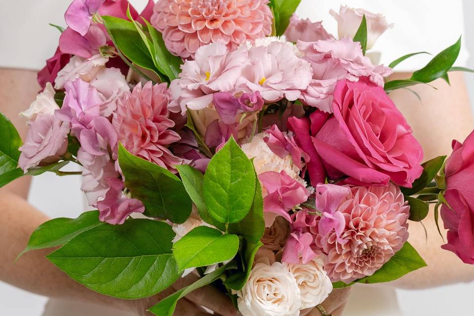 Collection La Rose