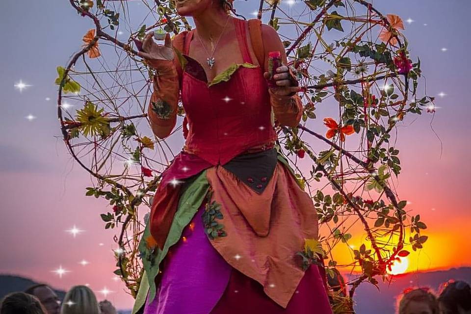 Marraines Fées
