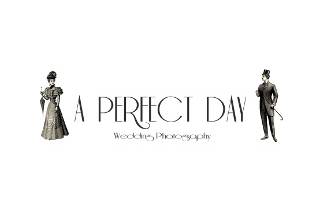 A Perfect Day logo