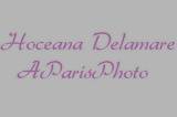 Hoceana Delamare logo