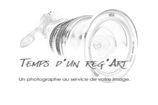 Logo Temps d'un reg'Art