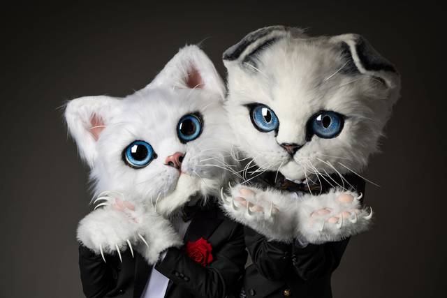 Chats géants