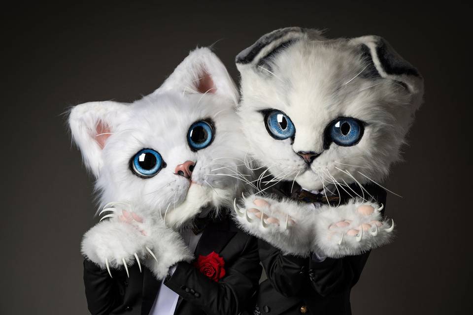 Chats géants