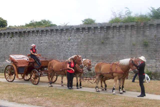 A 4 chevaux !