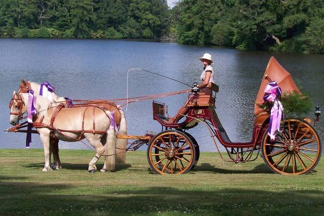 Les Chevaux de Congor