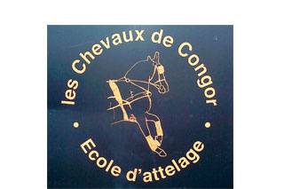 Les Chevaux de Congor