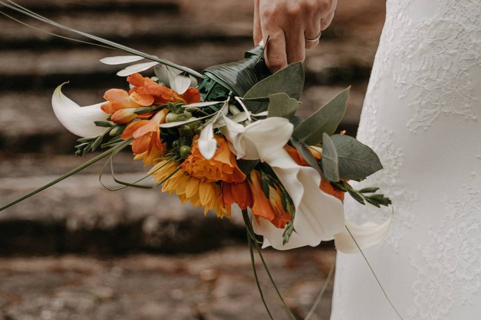 Line and Lens - Wedding