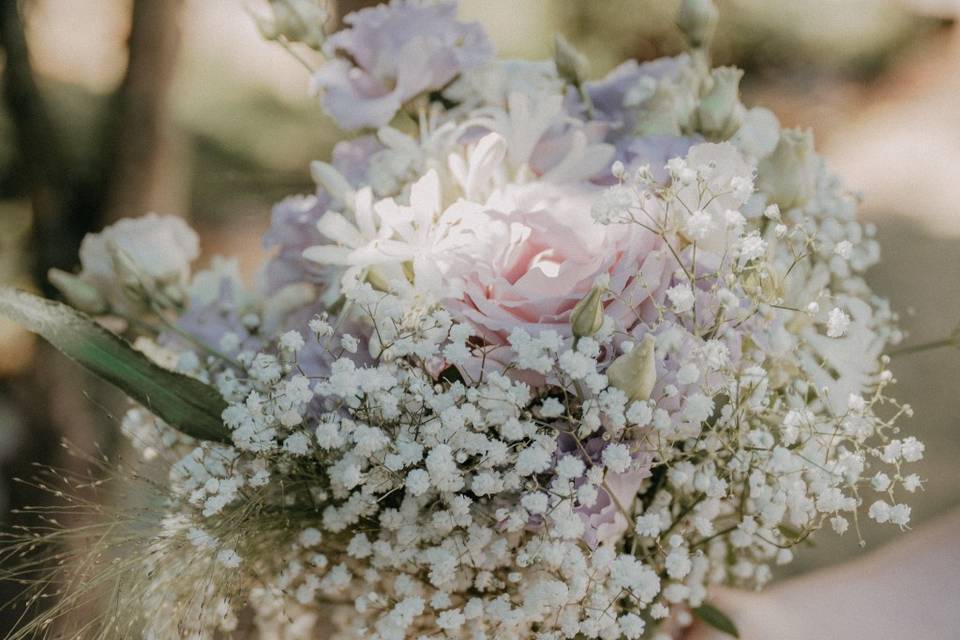 Line and Lens - Wedding