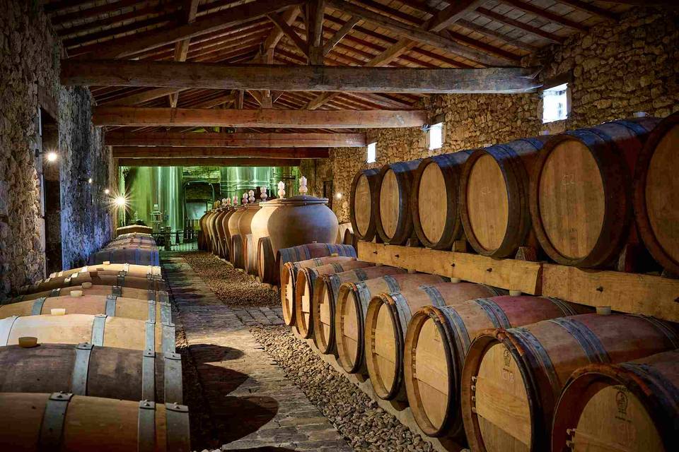 élevage du vin
