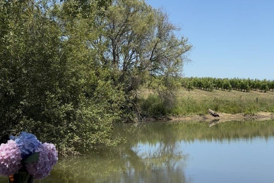 Lac du château