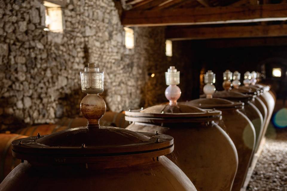Élevage du vin