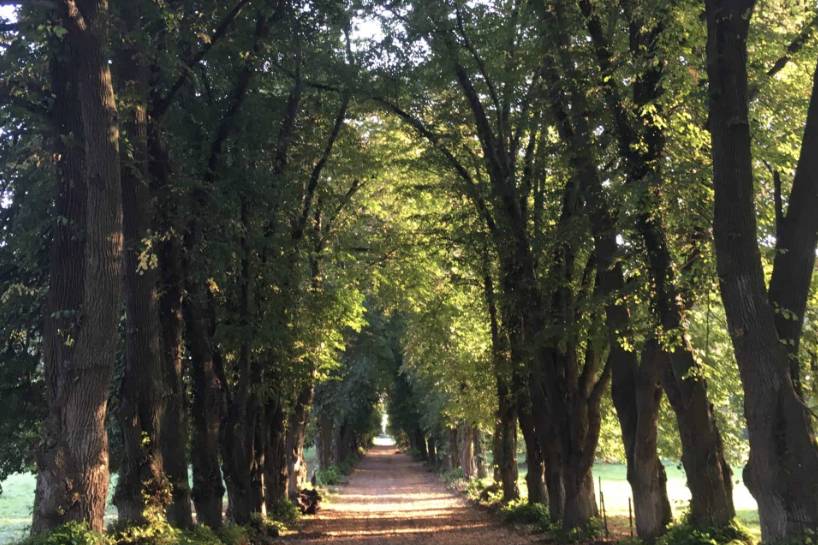 La grande allée pour l'arrivée