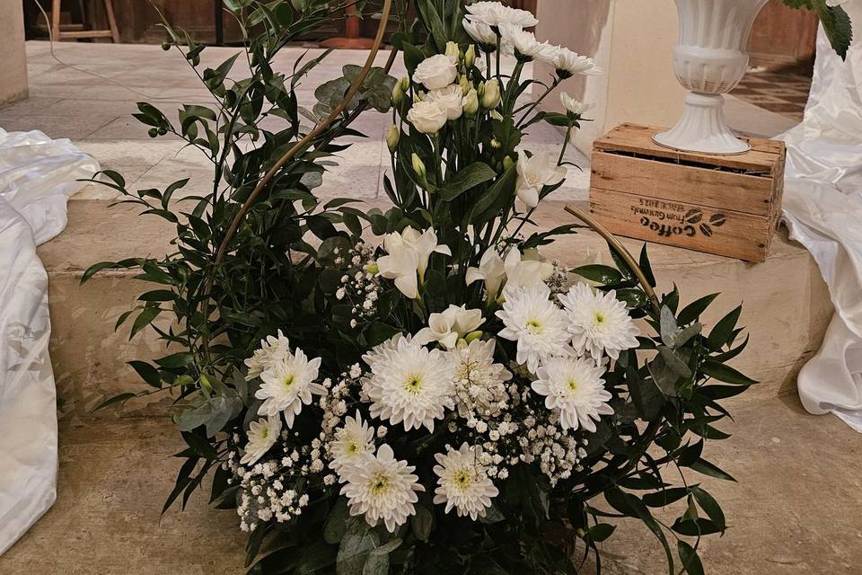 Vierge blanc