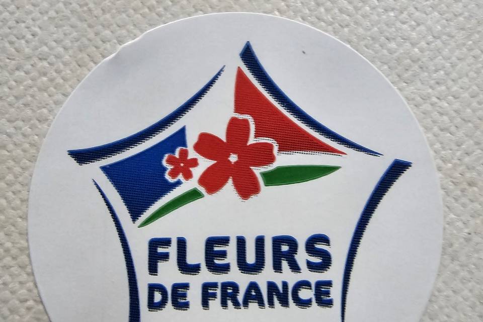 Fdf logo