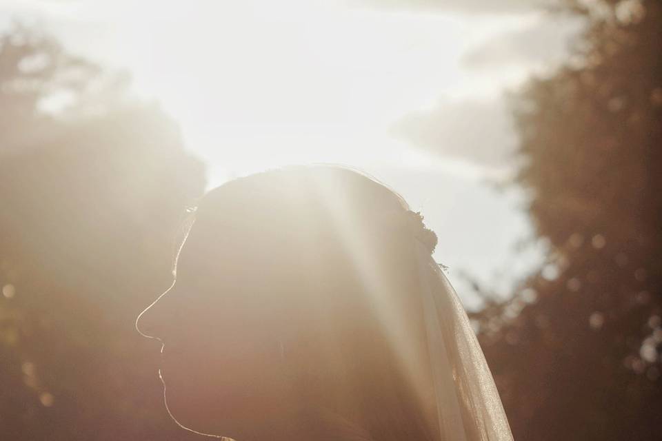 Rose Lavison - Mariage Paris
