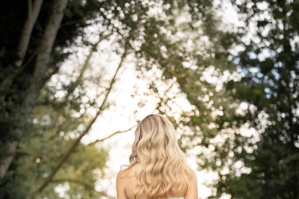 SD Prestige Chignons